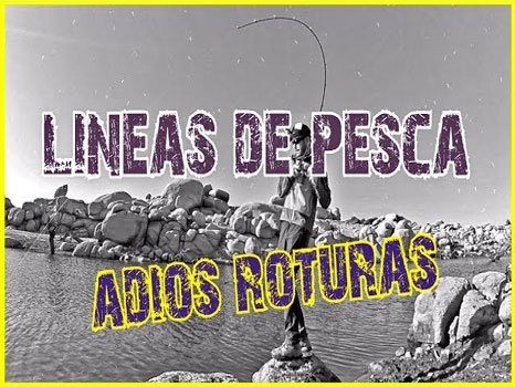 lineas de pesca como evitar roturas