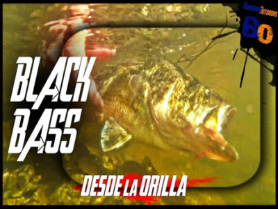 pesca de black bass con vinilo