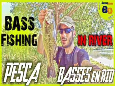 pesca del black bass en rio