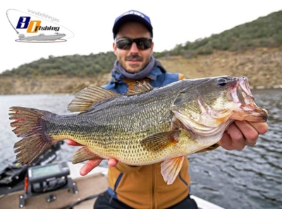 bass fishing in Portugal